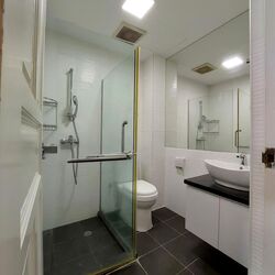 Shelford Regency (D11), Condominium #535836481